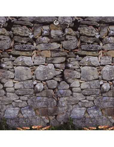 Piscine hors sol Ronde PIERRE GRISE Piscine hors sol Ronde PIERRE GRISE