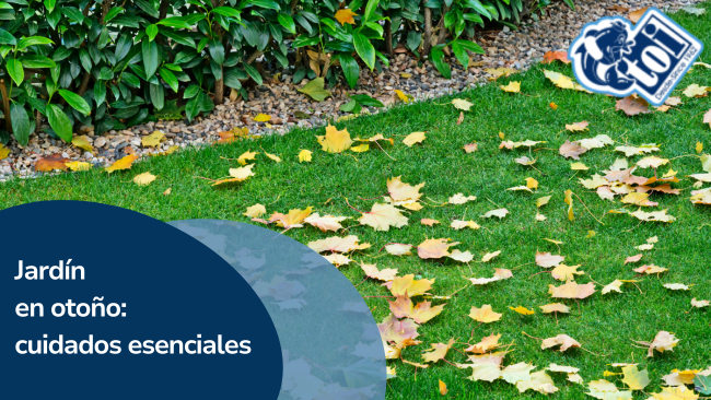 Jardín en otoño: cuidados esenciales en el blog de Piscinas TOI
