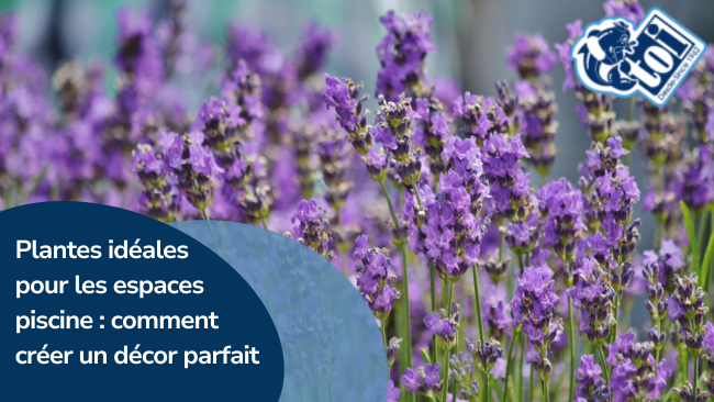 Plantes idéales pour les espaces piscine : comment créer un décor parfait